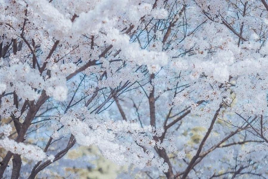 青島高端私人伴游咨詢師洪欣娟小姐姐-美文